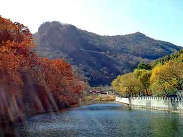 新澳天天开奖资料大全旅游团，修神类小说